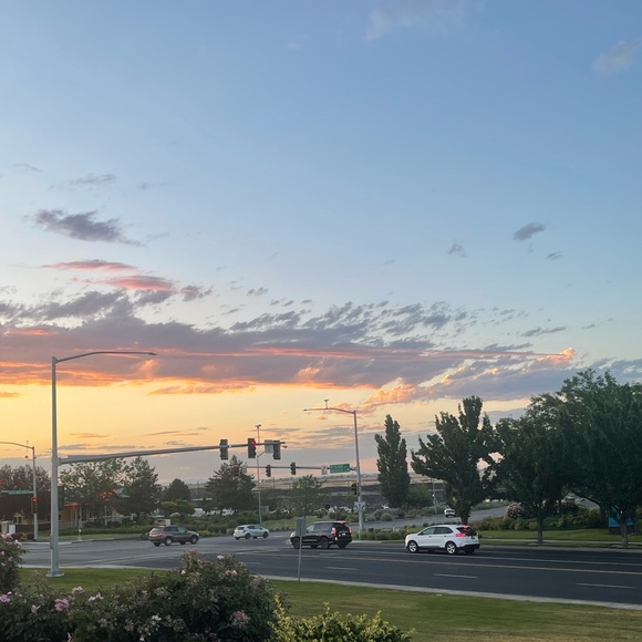 Meet your Posher, Abbi - Picture 1 of 1